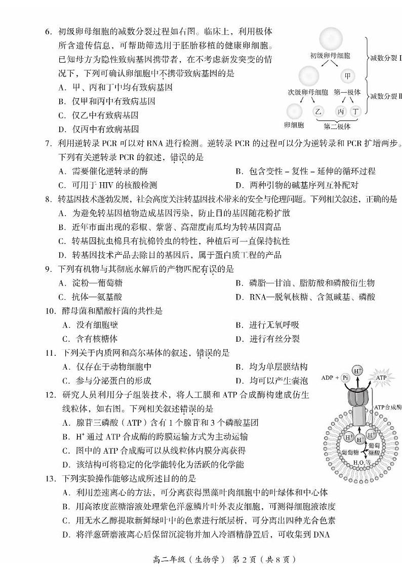 2024北京海淀高二(下)期末生物试题及答案第2页