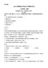 2024年高考真题——生物（北京卷）试卷（Word版附解析）