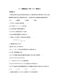 高中生物人教版 (2019)必修1《分子与细胞》第2节 细胞的能量“货币”ATP巩固练习