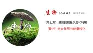 高中生物人教版 (新课标)必修1《分子与细胞》一 捕获光能的色素和结构教课ppt课件