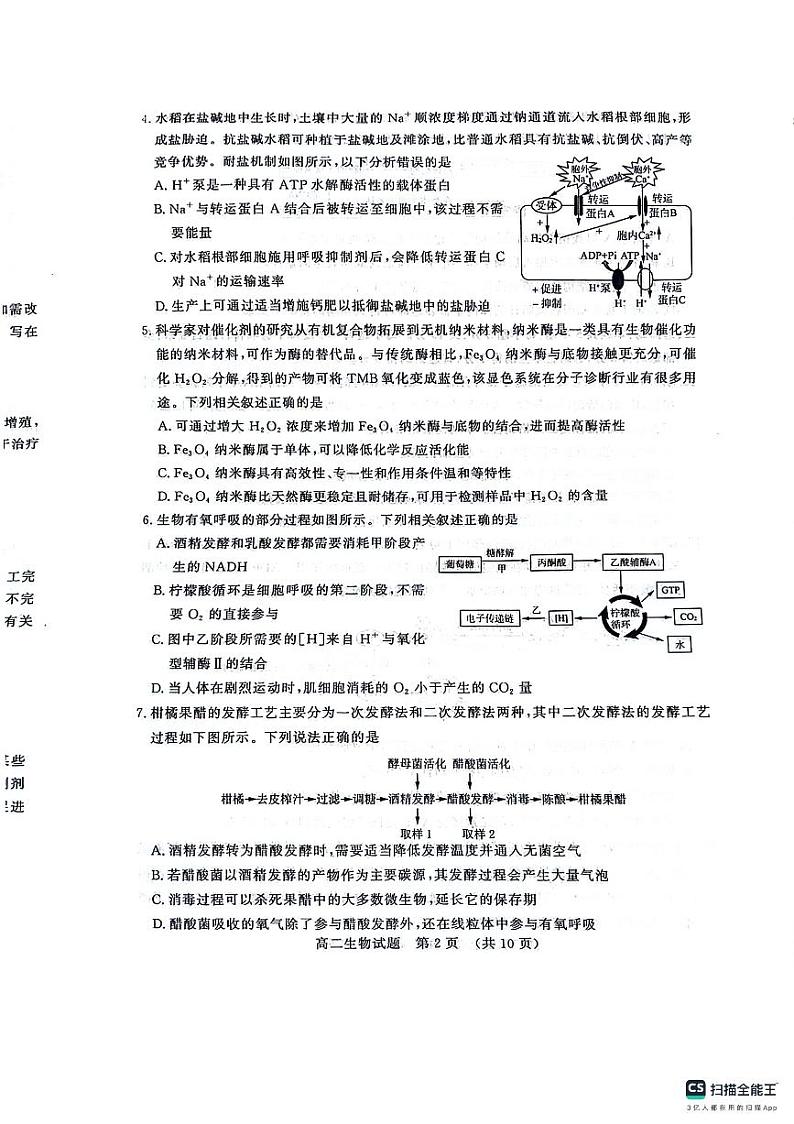 山东省济南市2023-2024学年高二下学期期末考试生物试题第2页