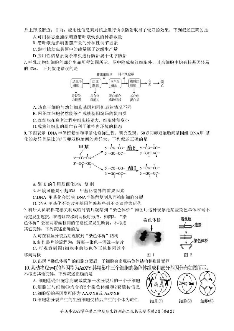 生物-浙江省宁波舟山市2023学年高二第二学期期末检测考试试题和答案02