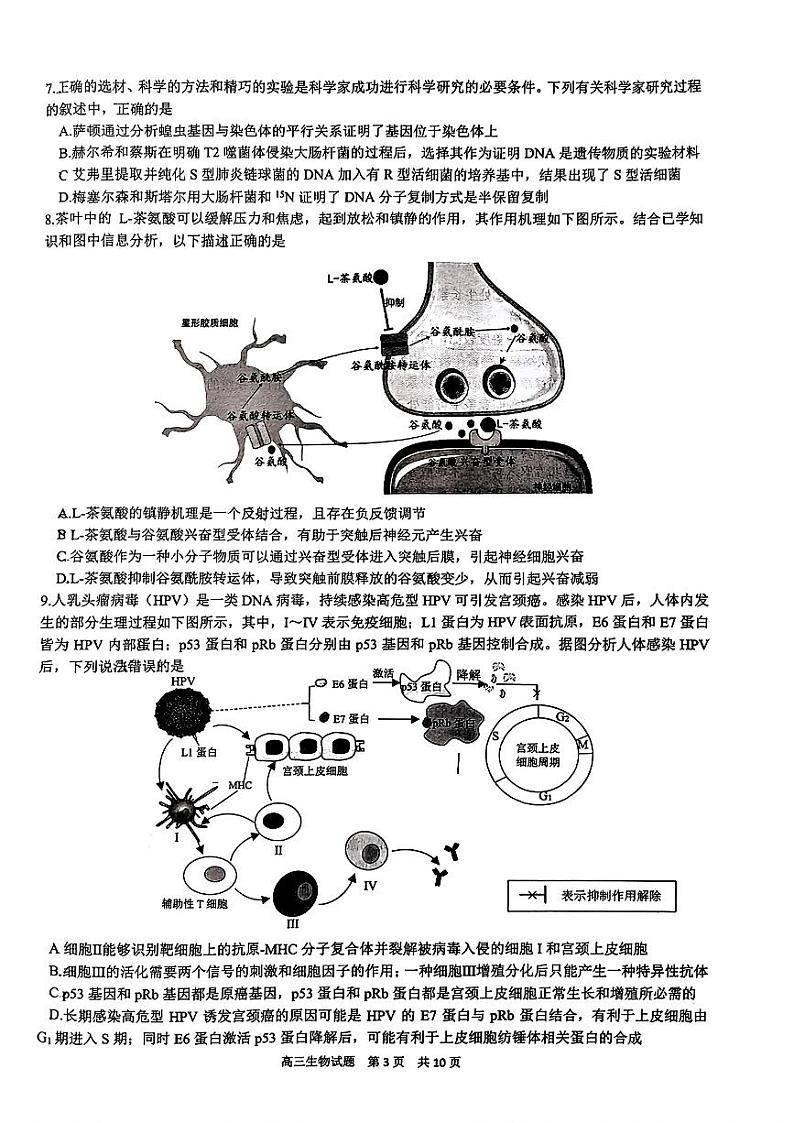 生物-2024届山东师范大学附属中学高三下学期考前适应性测试试题及答案第3页