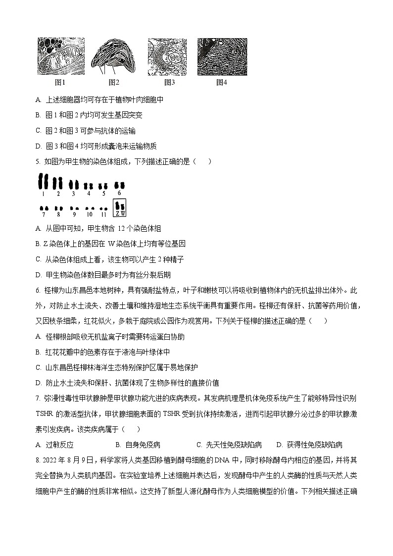 2024长治高二下学期6月期末考试生物含解析第2页