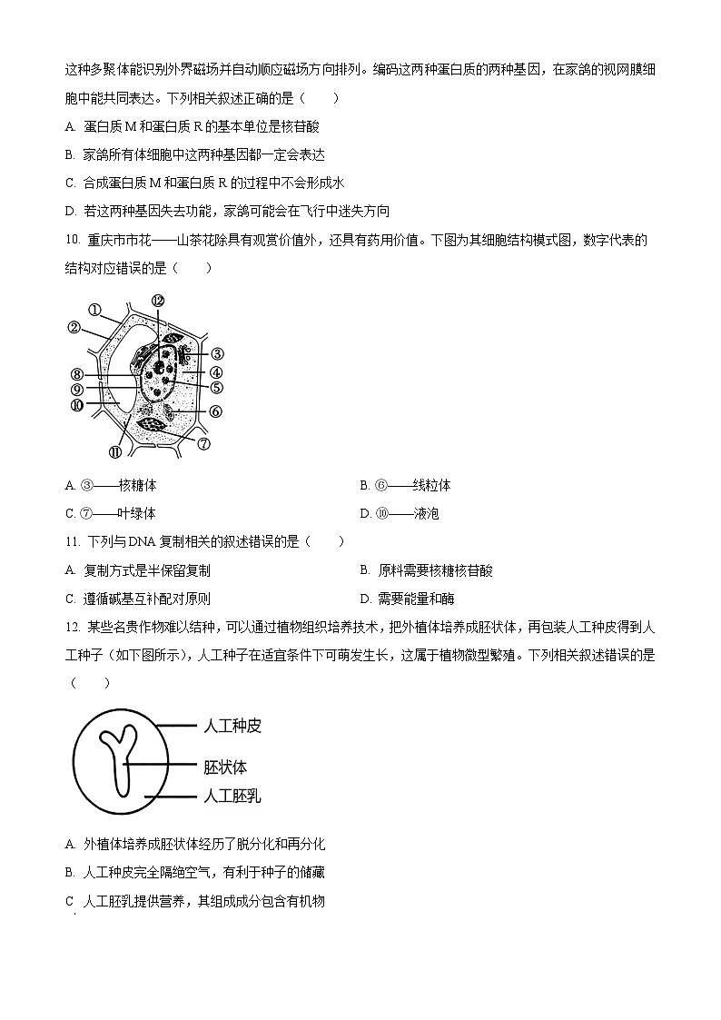 2024重庆长寿区高一下学期期末考试生物(B卷)含解析03