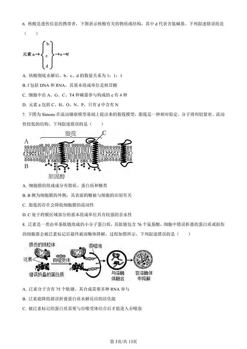 生物丨重庆市巴蜀中学校高高二下学期7月期末考试生物试卷及答案第3页
