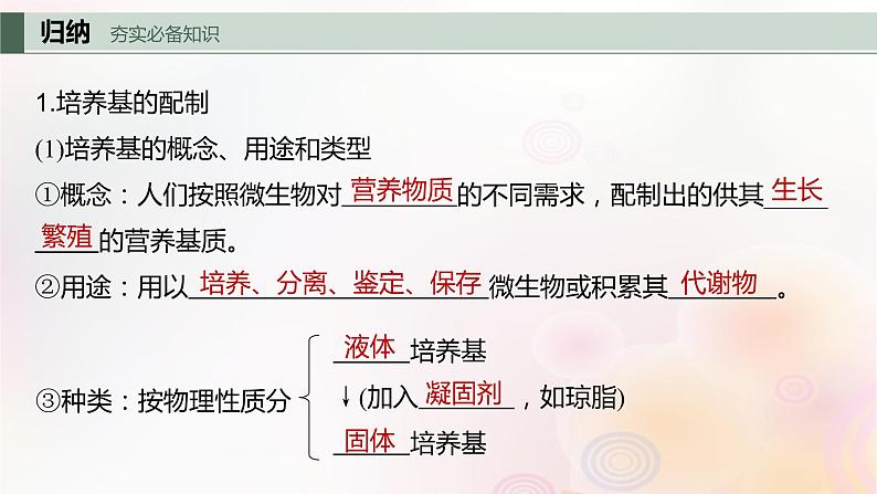 鲁湘辽新教材2024届高考生物一轮复习第十单元生物技术与工程第2课时微生物的培养技术及应用课件第4页