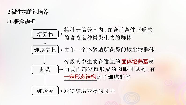 鲁湘辽新教材2024届高考生物一轮复习第十单元生物技术与工程第2课时微生物的培养技术及应用课件第8页