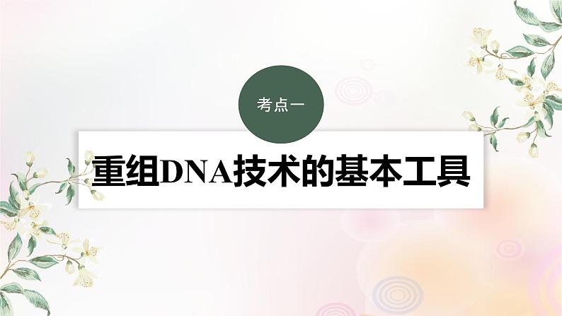 鲁湘辽新教材2024届高考生物一轮复习第十单元生物技术与工程第6课时基因工程的基本工具和基本操作程序课件第3页