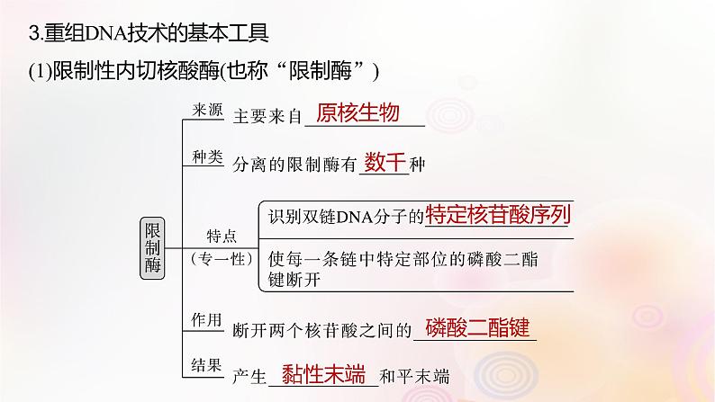 鲁湘辽新教材2024届高考生物一轮复习第十单元生物技术与工程第6课时基因工程的基本工具和基本操作程序课件第7页