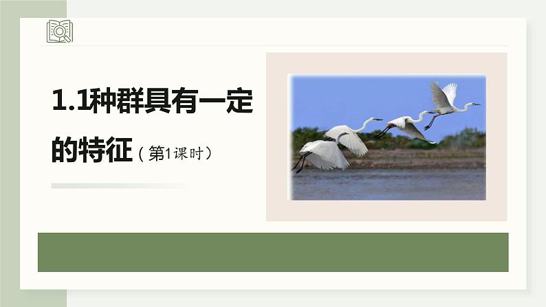 1.1种群具有一定的特征-第1课时(教学课件)——高中生物学浙科版(2019)选择性必修二01