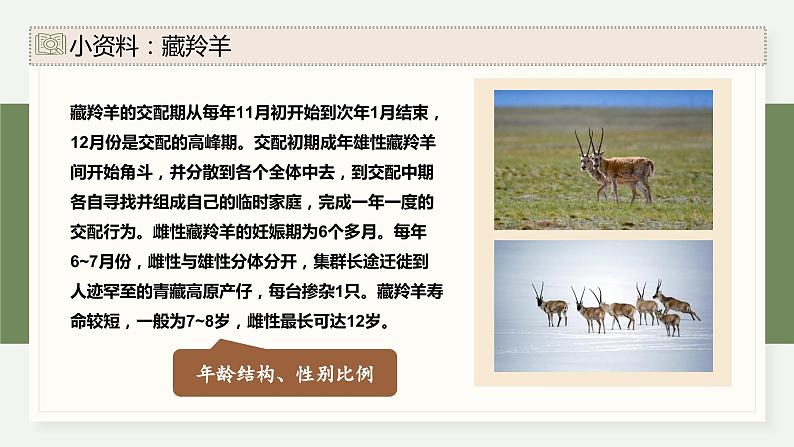 1.1种群具有一定的特征-第1课时(教学课件)——高中生物学浙科版(2019)选择性必修二05