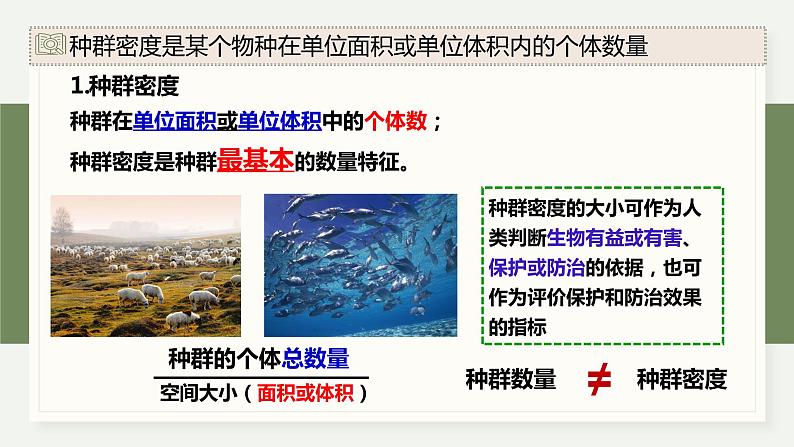1.1种群具有一定的特征-第1课时(教学课件)——高中生物学浙科版(2019)选择性必修二08