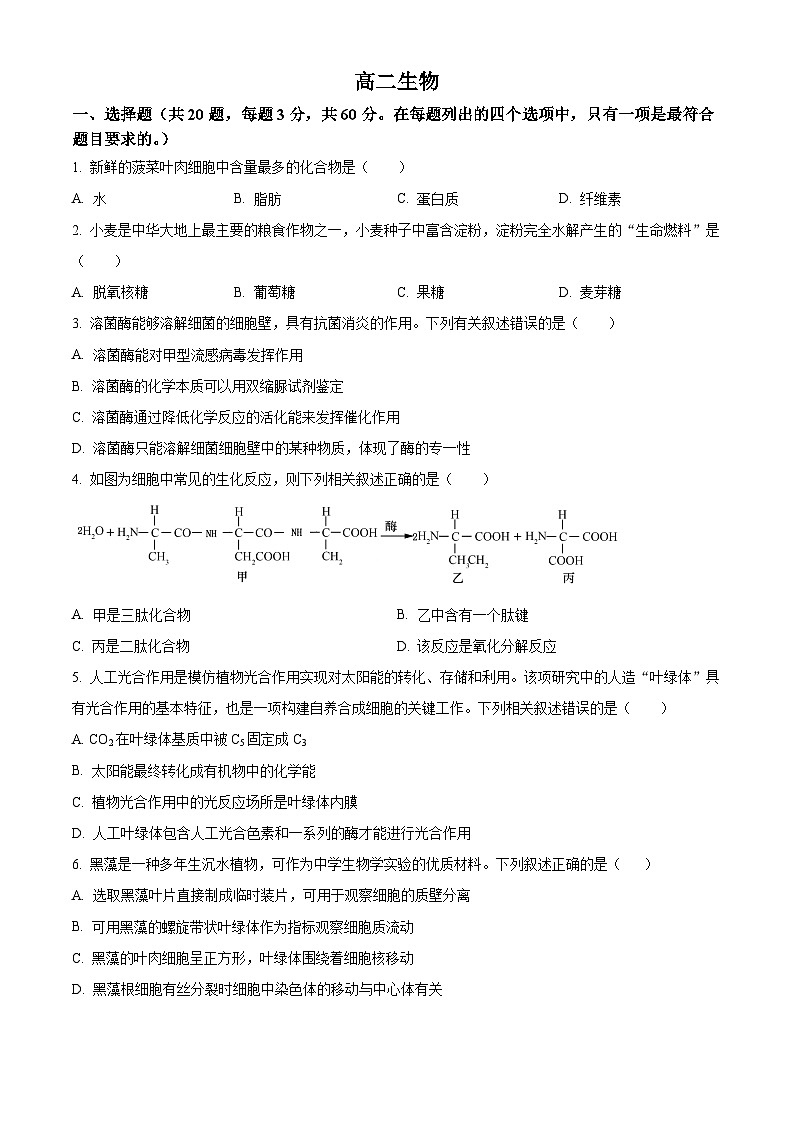 天津市红桥区2023-2024学年高二下学期7月期末考试生物试卷(Word版附解析)01