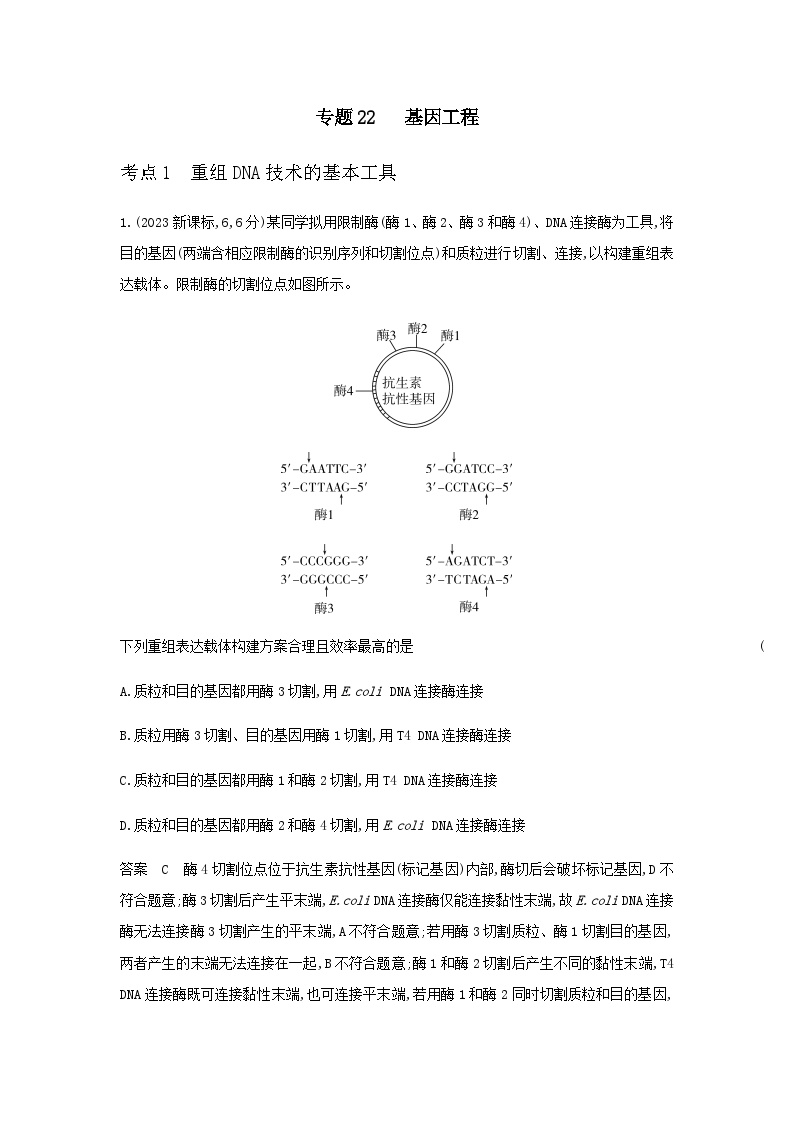 10年高考生物真题专题分类22基因工程练习含答案