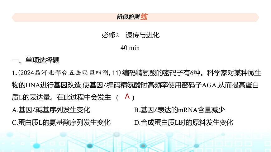 新高考生物總復習必修2遺傳與進化階段檢測練練習課件第2頁