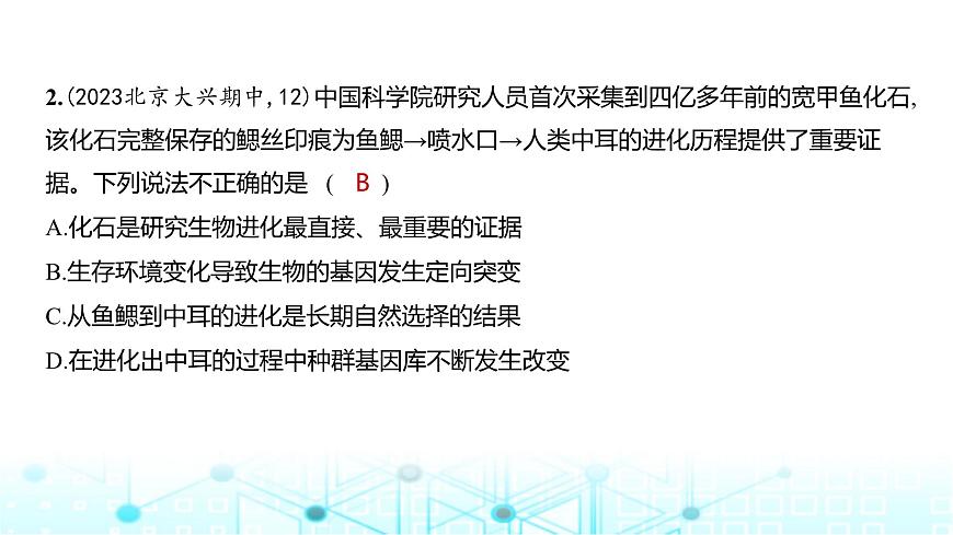 新高考生物總復習必修2遺傳與進化階段檢測練練習課件第3頁