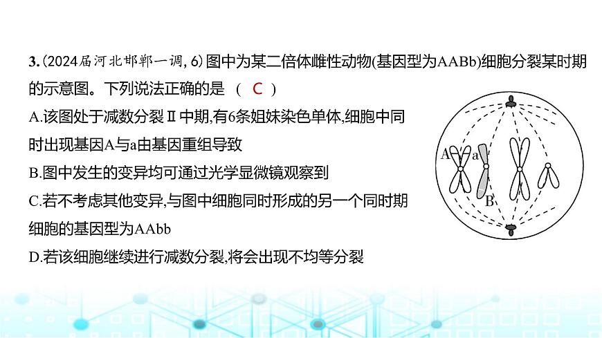 新高考生物總復習必修2遺傳與進化階段檢測練練習課件第4頁