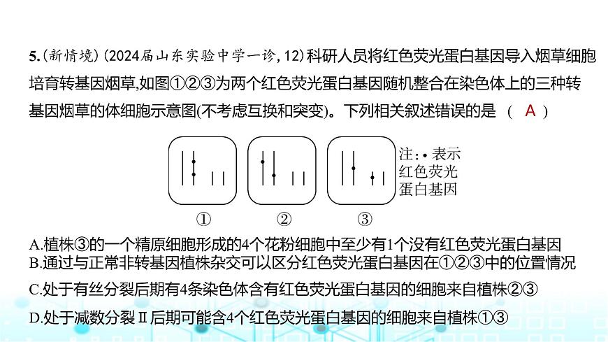 新高考生物總復習必修2遺傳與進化階段檢測練練習課件第6頁