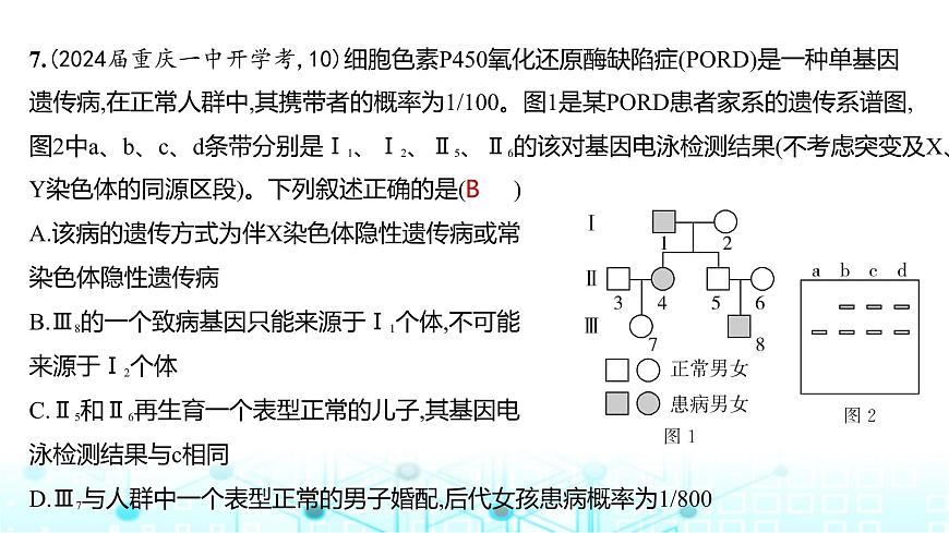 新高考生物總復習必修2遺傳與進化階段檢測練練習課件第8頁