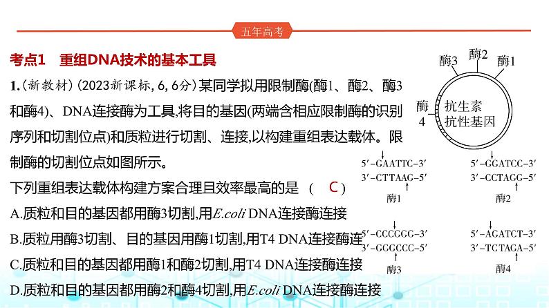 新高考生物总复习专题22基因工程练习课件第2页