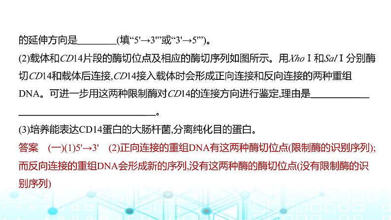新高考生物总复习专题22基因工程练习课件第5页