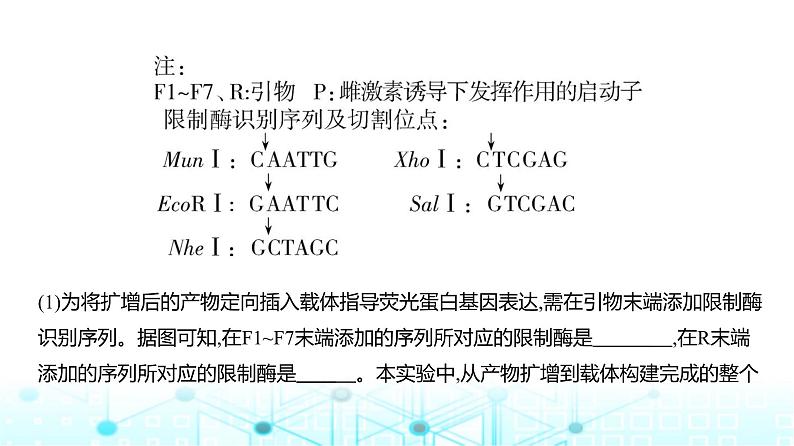 新高考生物总复习专题22基因工程练习课件第7页