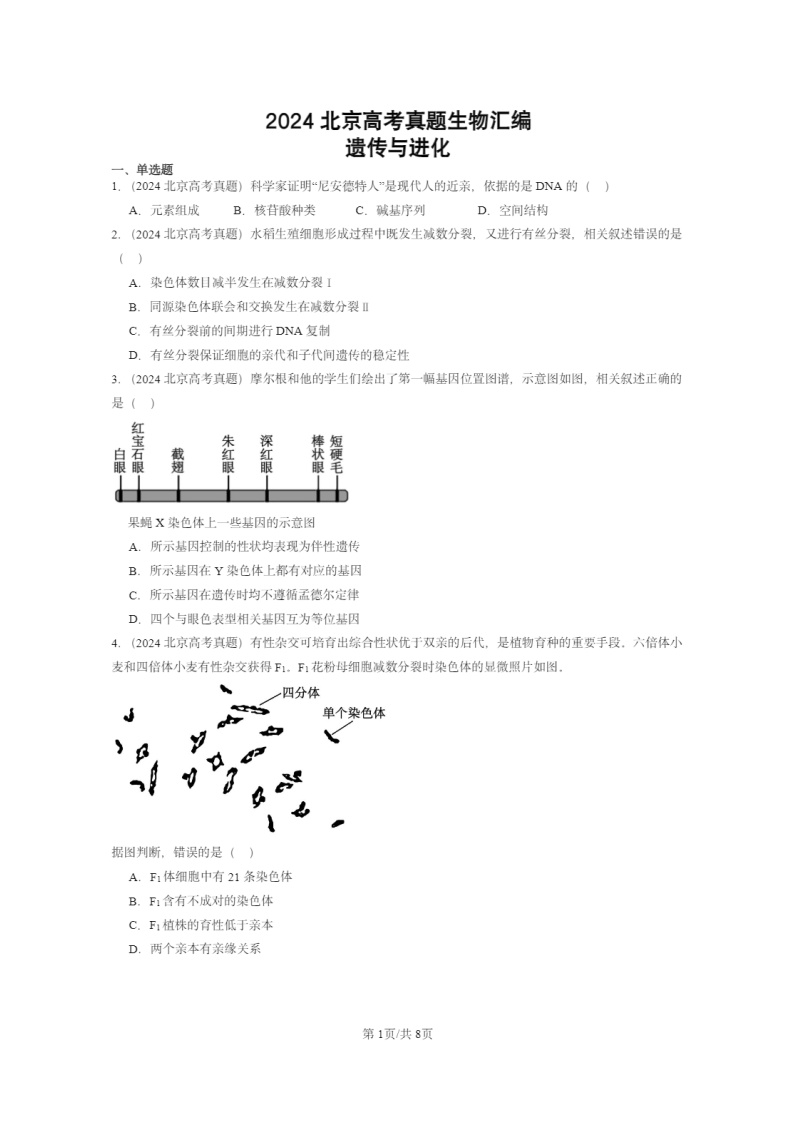 [生物]2024北京高考真题生物分类汇编：遗传与进化