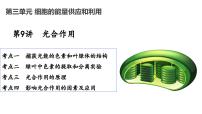 2025届高考生物一轮复习课件：光合作用