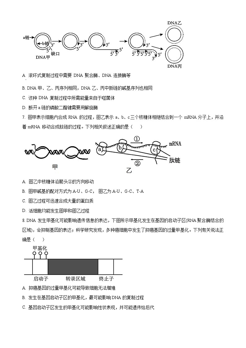 重庆市西南大学附属中学2023-2024学年高一下学期期末考试生物试题  Word版无答案第3页