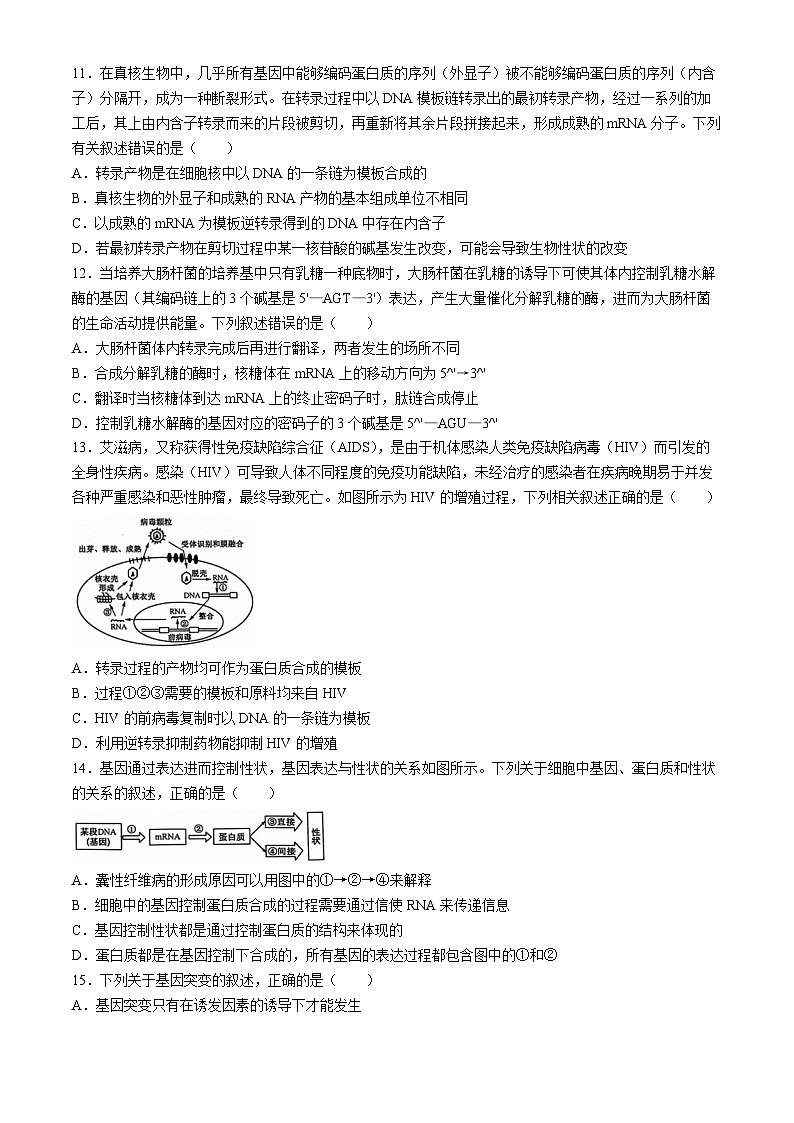 河南省商丘市商师联盟2023-2024学年高一下学期7月期末考试生物试题(Word版附解析)第3页