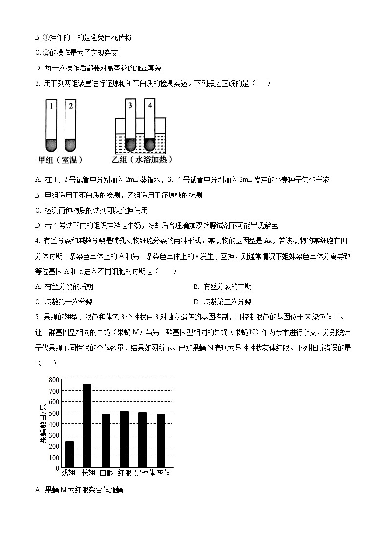 湖南省岳阳市湘阴县2023-2024学年高一下学期期末考试生物试题(原卷版)第2页
