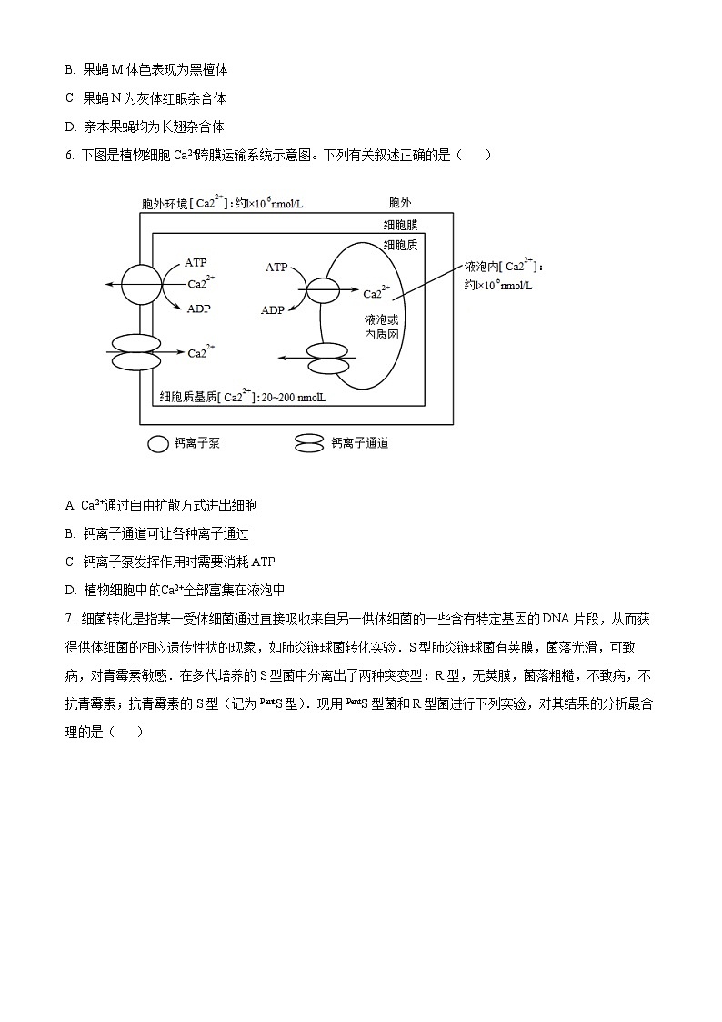 湖南省岳阳市湘阴县2023-2024学年高一下学期期末考试生物试题(原卷版)第3页
