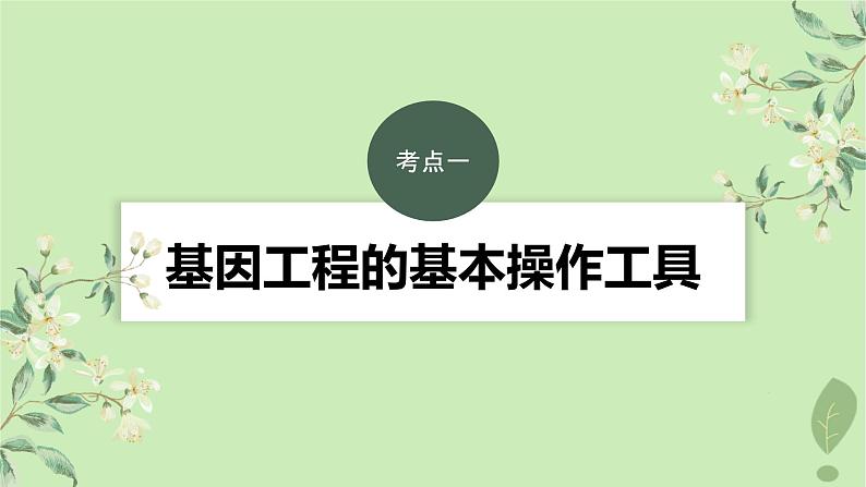 2024届高考生物一轮复习第十单元生物技术与工程第6课时基因工程的基本工具和基本操作程序课件(苏教版)03