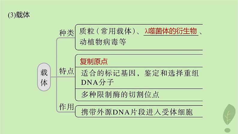 2024届高考生物一轮复习第十单元生物技术与工程第6课时基因工程的基本工具和基本操作程序课件(苏教版)08