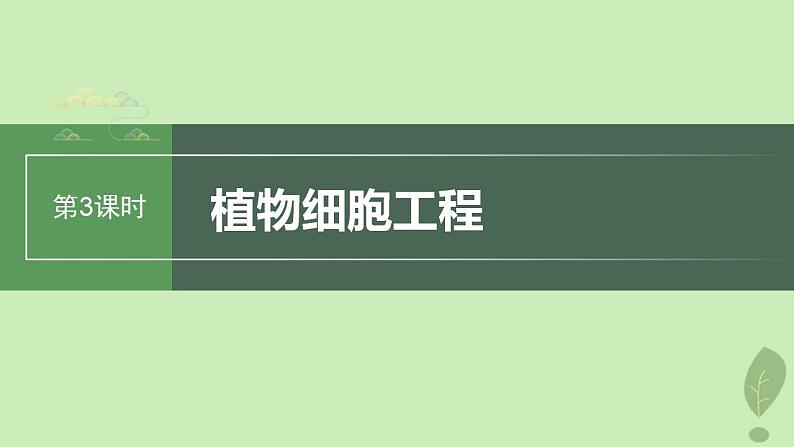 2024届高考生物一轮复习第十单元生物技术与工程第3课时植物细胞工程课件(苏教版)01