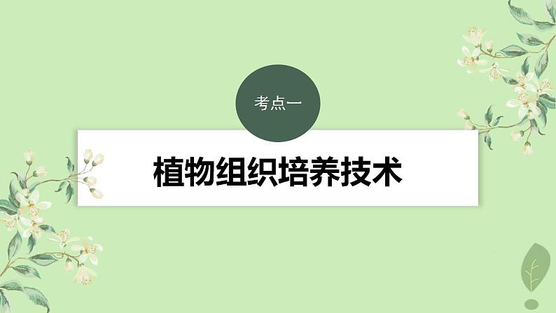 2024届高考生物一轮复习第十单元生物技术与工程第3课时植物细胞工程课件(苏教版)03