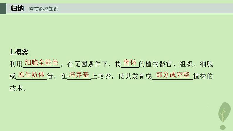 2024届高考生物一轮复习第十单元生物技术与工程第3课时植物细胞工程课件(苏教版)04