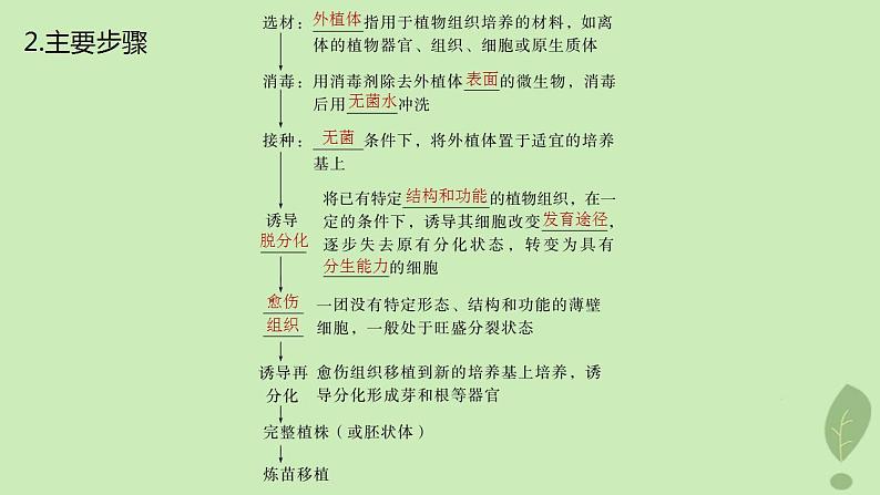 2024届高考生物一轮复习第十单元生物技术与工程第3课时植物细胞工程课件(苏教版)05