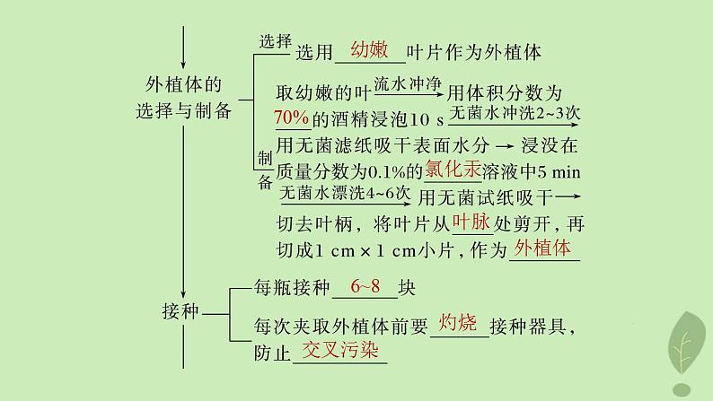 2024届高考生物一轮复习第十单元生物技术与工程第3课时植物细胞工程课件(苏教版)07