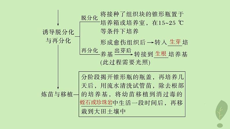2024届高考生物一轮复习第十单元生物技术与工程第3课时植物细胞工程课件(苏教版)08