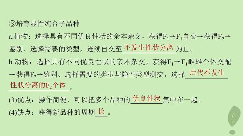 2024届高考生物一轮复习第七单元生物的变异和进化第3课时生物变异在育种上的应用课件(苏教版)第4页