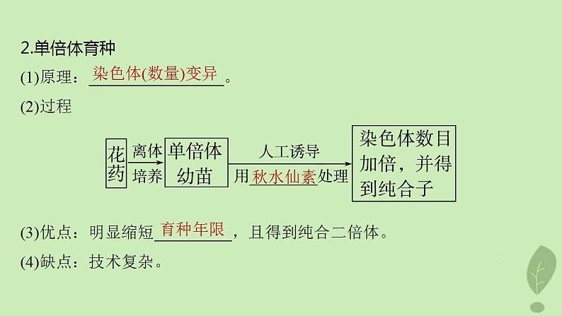 2024届高考生物一轮复习第七单元生物的变异和进化第3课时生物变异在育种上的应用课件(苏教版)第5页