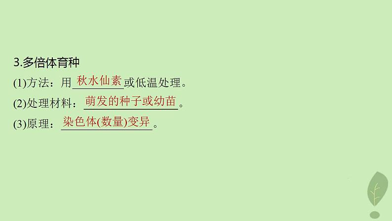 2024届高考生物一轮复习第七单元生物的变异和进化第3课时生物变异在育种上的应用课件(苏教版)第6页