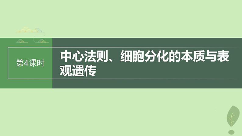 2024届高考生物一轮复习第六单元遗传的分子基础第5课时中心法则细胞分化的本质与表观遗传课件(苏教版)第1页