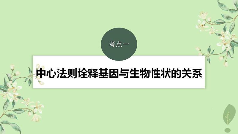 2024届高考生物一轮复习第六单元遗传的分子基础第5课时中心法则细胞分化的本质与表观遗传课件(苏教版)第3页
