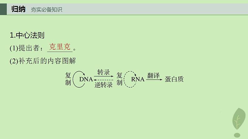 2024届高考生物一轮复习第六单元遗传的分子基础第5课时中心法则细胞分化的本质与表观遗传课件(苏教版)第4页