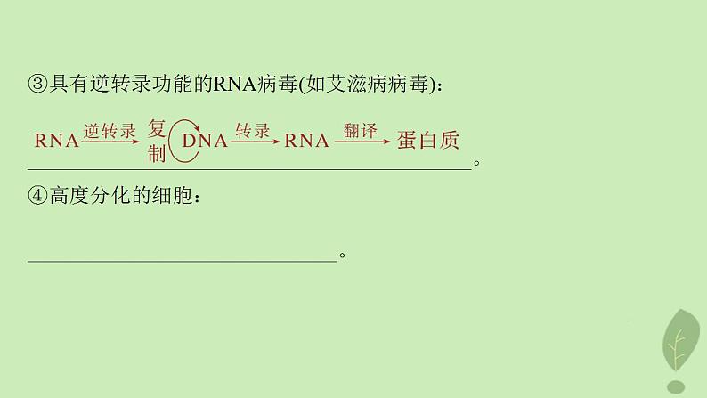 2024届高考生物一轮复习第六单元遗传的分子基础第5课时中心法则细胞分化的本质与表观遗传课件(苏教版)第6页