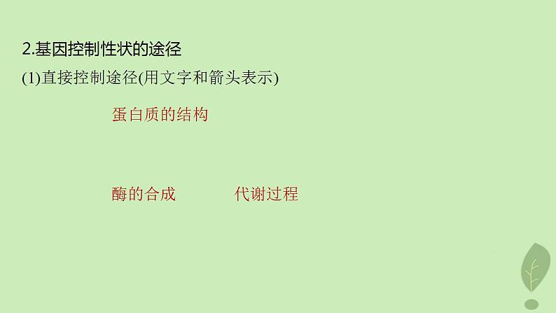 2024届高考生物一轮复习第六单元遗传的分子基础第5课时中心法则细胞分化的本质与表观遗传课件(苏教版)第7页