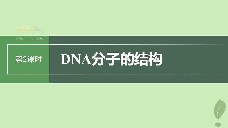 2024届高考生物一轮复习第六单元遗传的分子基础第2课时DNA分子的结构课件(苏教版)第1页